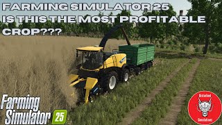 FARMING SIMULATOR 25  MOST PROFITBLE CROP [upl. by Pich525]