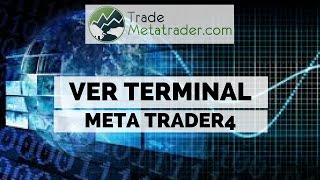 VER TERMINAL EN METATRADER 4 [upl. by Fabron360]