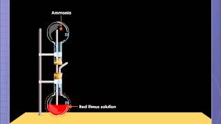 Ammonia Fountain Experiment [upl. by Sivrep330]