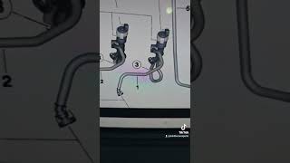 Fault 191C02 Fuel Tank Ventilation System 2nd inlet point Malfunction 194201 NVLD bmw automobile [upl. by Ajssatsan231]