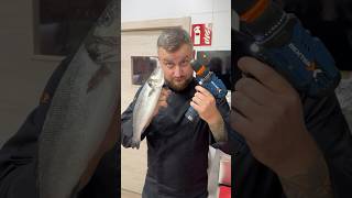 Testing the Life Hack Cleaning Fish with a Drill Thanks for inspiration jaguaredapesca3622 [upl. by Yesnyl921]