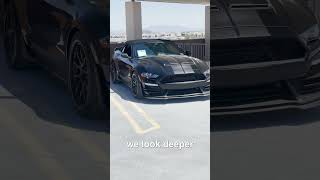 Shelby vs Roush whos the winner [upl. by Nytsyrk240]