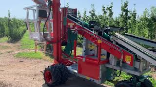 Pluk o Track met opgebouwd platform bij Van der Linden Fruitteelt Machines [upl. by Wolfy]