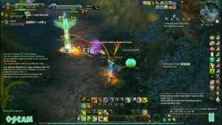 Aion 40  Oseam Phase II  Gunner PvP Lv 65 HD  The Trip [upl. by Willdon]