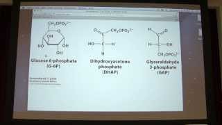 16 Kevin Aherns Biochemistry  Carbohydrates I [upl. by Gillian]