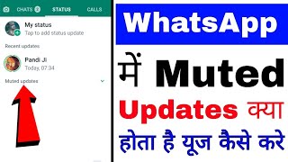 WhatsApp me Muted updates kya hota hai। what us muted updates in whatsapp। Muted updates in whatsapp [upl. by Medin250]