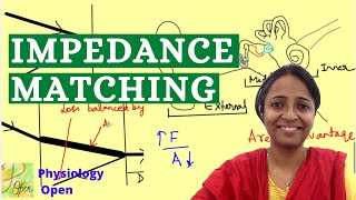 Impedance matching Physiology of hearing  Auditory system physiology mbbs 1st year lecture [upl. by Philoo]