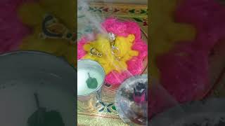 Miracle brotherladdu gopal shortes vidio radhe radhe [upl. by Pedaias]