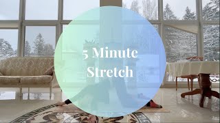 5 Minute PrePost Workout Stretch [upl. by Anaahs]