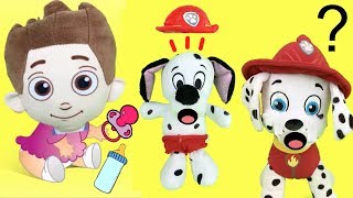 Ryder de Paw Patrol es un bebeCachorros de la patrulla canina lo cuidanVideos de juguetes español [upl. by Aiken]