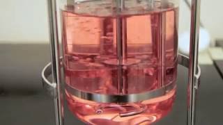 The Impact of Sparging on Cell Culture in Bioreactors – Two Minute Tuesday Video [upl. by Layap527]