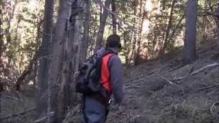 Epic Bigfoot Expedition Most Evidence One Expedition [upl. by Janelle]