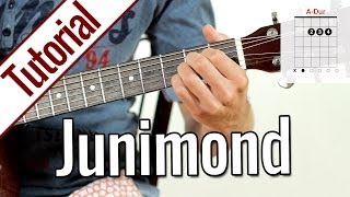 Rio ReiserEcht  Junimond  Gitarren Tutorial Deutsch [upl. by Solley]