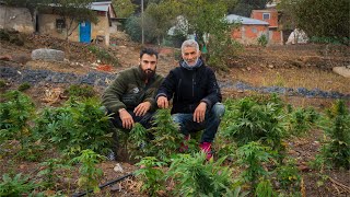 Viví con un PRODUCTOR de HACHÍS en Marruecos [upl. by Farver696]