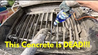 KILLING CONCRETE with DISH SOAP [upl. by Luther]