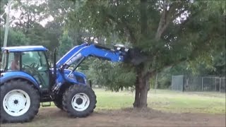 T4 95 New holland pushing up tree [upl. by Lancelle53]