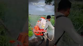 Tomato farming in india tomator tamater farming agriculture IndianFarmer MrBeast [upl. by Rosaleen]