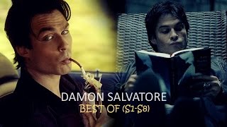 Damon Salvatore  The Best of HUMOR S1S8 [upl. by Margarette]