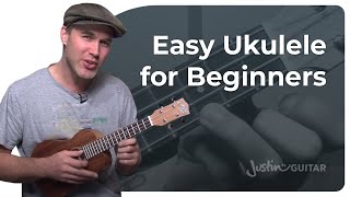 How to Play the Ukulele 4 Easy Chords amp Many Songs [upl. by Gallard]