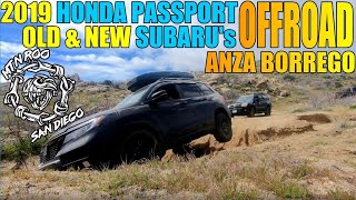 Passport to Anza Borrego  New Ride takes on the Oriflamme trail with MtnRoo San Diego [upl. by Loella119]