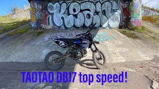 TAOTAO DB17 Top Speed Run [upl. by Tracey]