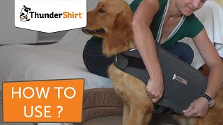 How to use ThunderShirt [upl. by Enerod]