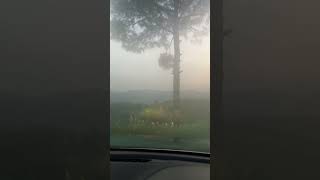 BEST WAY TO CELAR WINDSHIELD FOG  DAY 12 of 30days30videoschallenge cartips cargyan [upl. by Yziar]