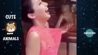 Funny Monkeys  Funny Naughty Monkeys You Will Die Laughing  Funniest Animals Videos 2019 [upl. by Atiniuq467]