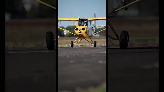 Aeronca Champ Landing in Slow Motion aviation aviationlovers pilot pilotlife aviator nikon [upl. by Ellenij]