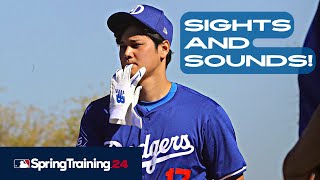 Dodgers Spring Training Highlights Feb 16 Shohei Ohtani BP Tyler Glasnow Faces Mookie Betts [upl. by Ydnik757]