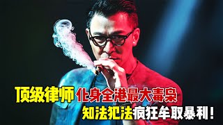 2024刘德华最新爆爽港片《潜行》，顶级律师化身全港最大毒枭，知法犯法疯狂牟取暴利！ [upl. by Enatan]