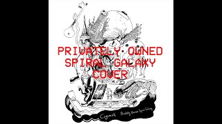 Privately Owned Spiral Galaxy  Crywank Cover [upl. by Josephina641]