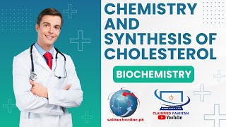 Exploring Cholesterol’s Chemistry and Synthesis medicalscience medical mbbs [upl. by Cicily]