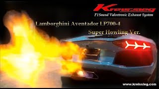 Kreissieg Lamborghini Aventador LP7004 Exhaust SoundKsg [upl. by Fonzie672]