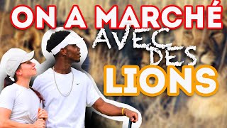 ON A MARCHÉ AVEC DES LIONS   VLOG ÎLE MAURICE 01 [upl. by Jowett702]