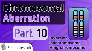 Inversion Isochromosome and Ring chromosomal aberrations [upl. by Savell]