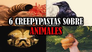 Creepypastas Sobre Animales 🐾 Para pasar el rato 😈 [upl. by Nahallac]