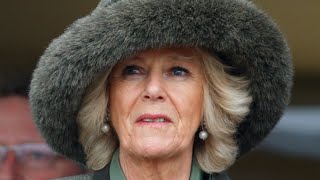 Who Is Camilla Parker Bowles Son [upl. by Nnaira]