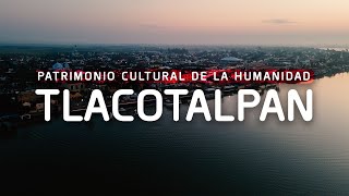 La fiesta de la Candelaria en Tlacotalpan y el Son Jarocho tradicional una tradición que nos une ❤️ [upl. by Mannos]