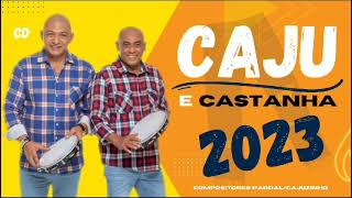 Caju e Castanha Calça Rasgada [upl. by Salangi]