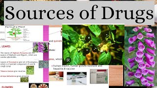 Sources Of Drugs in Pharmacology Natural Semisynthetic and Synthetic [upl. by Dhaf]