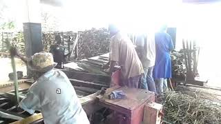 Extraction of sisal fibres from the sisal plant Mkumbara Farm [upl. by Bainter]