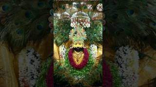 Khatu dham ki video🙏abhishorts trending viralshorts short [upl. by Eppilihp559]