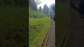 Ooty train journey  Himalayan Railway 🛤 ooty train ootytrip toytrain [upl. by Mitchael]