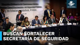 Comisiones del Senado aprueban reforma para fortalecer a la SSPC [upl. by Enitnemelc947]