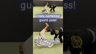 MindBlowing Guard Pass Techniques bjj jiujitsu grappling [upl. by Annahsed745]