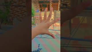 Hand status video song cute love hand DHRUVRAAZSAINI [upl. by Koffman]