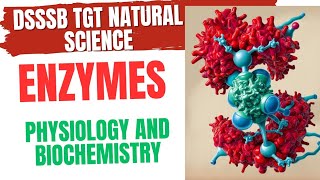 Enzymes Physiology and Biochemistry for DSSSB TGT NATURAL SCIENCE 2024 dsssbtgtnaturalscience [upl. by Musetta]