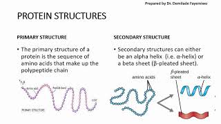 Chapter 23 Biological Molecules  Proteins [upl. by Opalina193]