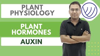 Plant Hormones  Phytohormones  Plant Growth Regulators  CSIR  GATE  SET  NILESH SONI [upl. by Gney]